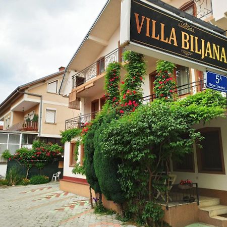 Vila Biljana Ohrid Daire Dış mekan fotoğraf